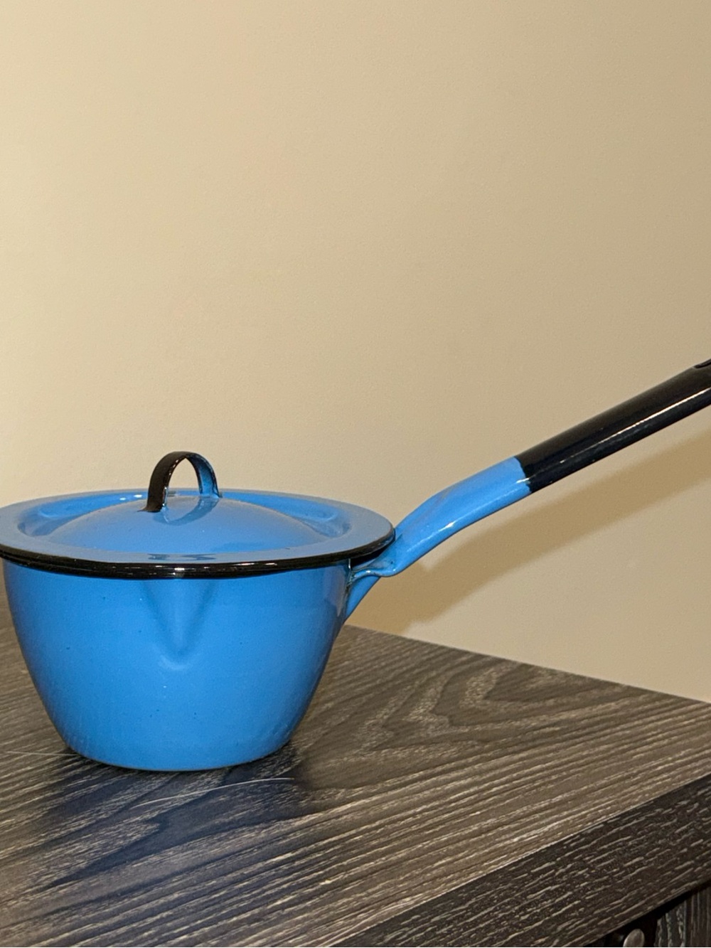 Porcelain enamel blue shell handled pot with cover